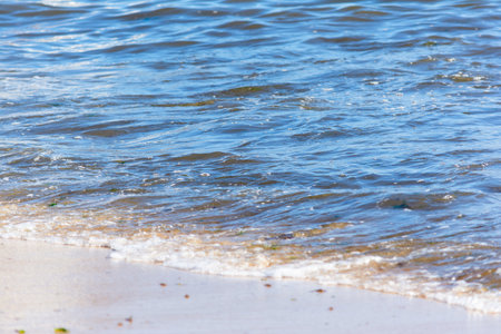 Beachside with small waves breaking. Preserved and clean environment.の写真素材