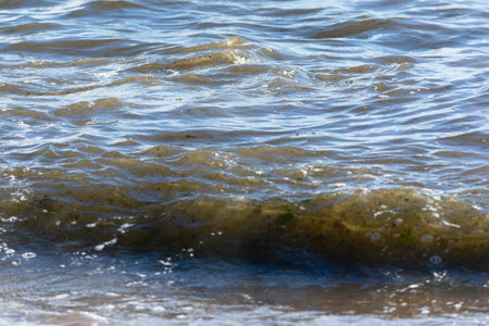 Low view of waves breaking on the beach sand on a cloudy day. Preserved environment.の写真素材
