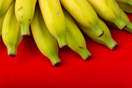 Close-up of a bunch of ripe bananas. Isolated on red background.の写真素材
