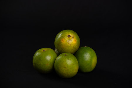 Group of still green oranges on a black background. Healthy eating concept.の写真素材