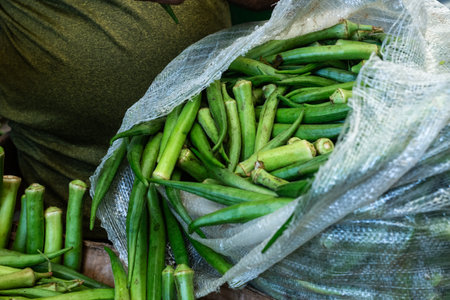 Green okra for sale at a market. Vegetable rich in fiber. Sao Joaquim Market, Salvador.の写真素材