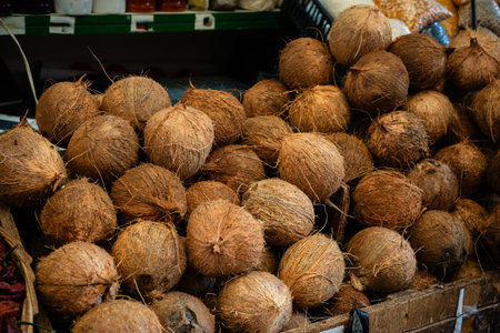 Brown coconut for sale at a stand. Double-fruited fruit, with a fleshy interior and a stone or seed. SÃ£o Joaquim Fair, Salvador.の写真素材