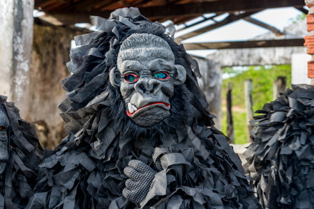 Unidentified person dressed in a horror costume in a rural area, playing and interacting with other people. Carnival day in Brazil.の写真素材