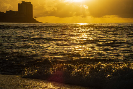 Beautiful sunrise in front of an Atlantic Ocean beach. Environment. Brazilの写真素材