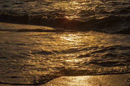 Waves passing over the sand of a beach at dawn. Environment. Brazilの写真素材