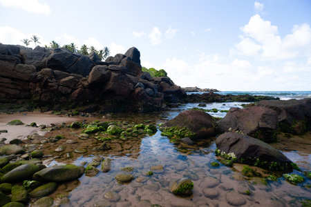 Photograph of a rugged rocky coast, invoking the power, stability and raw beauty of nature. Brazil.の写真素材