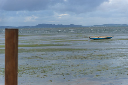 View of a beach on a rainy day with wooden stakes on the seashore. Brazilの写真素材