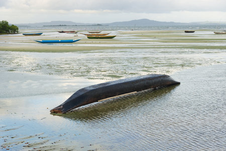 A wooden fishing canoe turned upside down on a beach at low tide. Rainy day.の写真素材