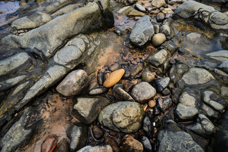 Wet rocks and stones on the edge of a beach. Preserved environment. Living nature.の写真素材