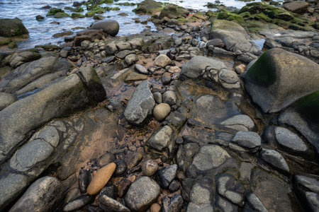 Wet rocks and stones on the edge of a beach. Preserved environment. Living nature.の写真素材