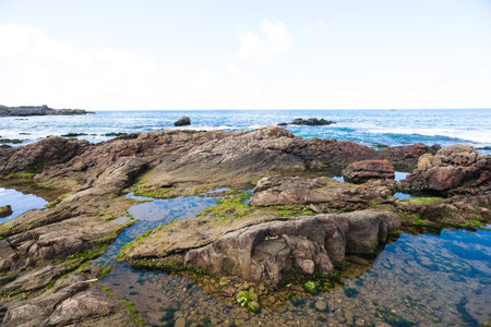 Rocky coast. Stormy weather. Preserved environment.の写真素材