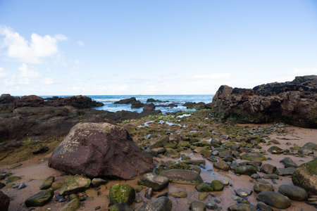 Rocky coast of Saalvdor, Brazil. Stormy weather. Preserved environment.の写真素材