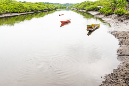 A mighty river with anchored fishing and transport boats and canoes. Rainy and cold day.の写真素材