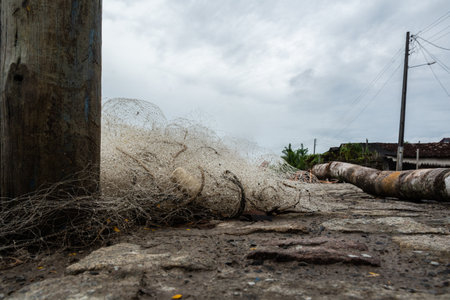 A nylon fishing net seen from below. River fishing. Brazilの写真素材