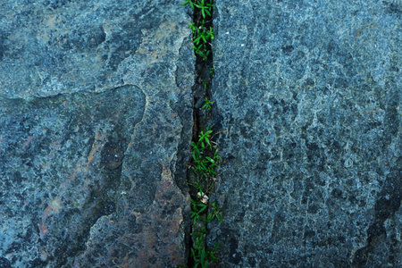 Close-up of a street floor with cracks in the shape of a line. Texture, background for work. copy, space, abstract.の写真素材