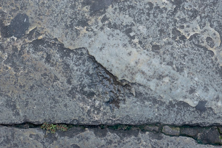 Close-up of a street floor with cracks in the shape of a line. Texture, background for work. copy, space, abstract.の写真素材
