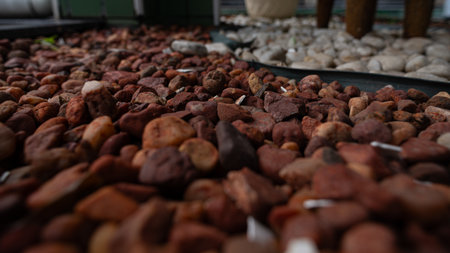 Frame full of decorative brown and white stones. Texture. Background. Geometry.
