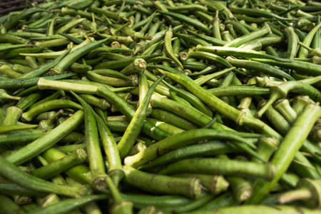 Green okras on display for sale at a traditional Brazilian fair. Healthy food. Nutrition. Plantの写真素材