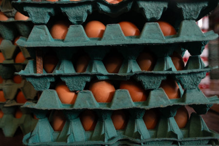 A frame full of chicken eggs in a cardboard box for sale at a market. Proteinsの写真素材