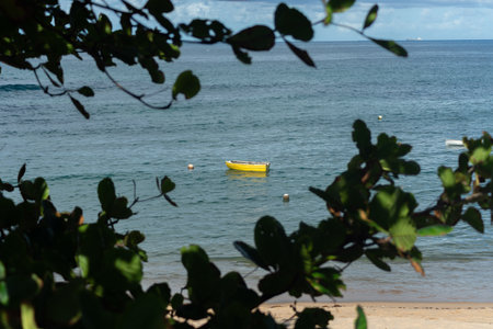 View of a yellow boat at sea among leaves and plants of a tree. Sunny day. Sea and paradise. Seascapeの写真素材