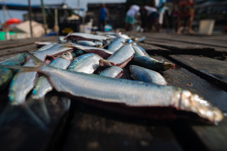 Low-angle view of several silver-blue sardines arranged on a wooden pier for sale. Fresh seafood.