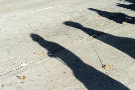 A strong shadow of a person stretches across a concrete sidewalk, scattered with autumn leaves.の写真素材