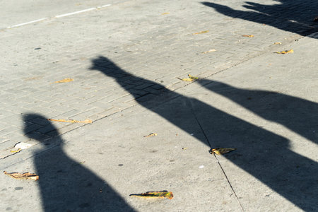 A strong shadow of a person stretches across a concrete sidewalk, scattered with autumn leaves.