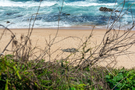 A panoramic photo taken from above, showing a white sand beach and the Atlantic Ocean with turbulent waves. Coastal landscape of Rio Vermelho beach in Salvador.の写真素材