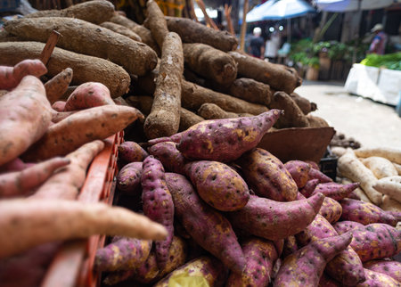 A vibrant market scene with a variety of root vegetables displayed in boxes on a busy market stall.の写真素材