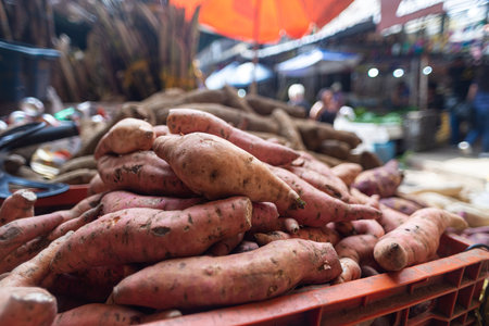 A vibrant market scene with a variety of root vegetables displayed in boxes on a busy market stall.の写真素材