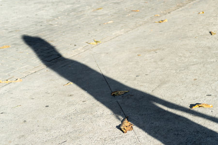 A strong shadow of a person stretches across a concrete sidewalk, scattered with autumn leaves.の写真素材