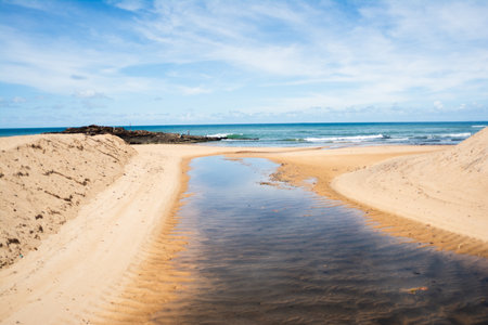 A beach landscape showing a small stream or accumulation of freshwater flowing through the golden sand, creating a path that leads to the ocean.の写真素材