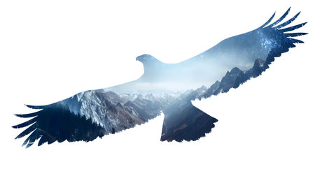 An artistic image using the double exposure effect. The silhouette of an eagle or falcon with open and outstretched wings is filled with a forest landscape.の素材