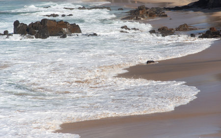 Detail of a wave breaking and transforming into a wide layer of white foam advancing across the wet...