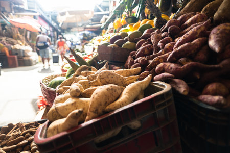 Salvador, Bahia, Brazil - September 20, 2025: View of a variety of vegetables, greens, and roots...