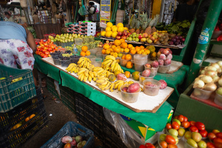 Salvador, Bahia, Brazil - September 20, 2025: View of a variety of vegetables, greens, and roots displayed at the SÃ£o Joaquim market in Salvador, Bahia.のeditorial素材