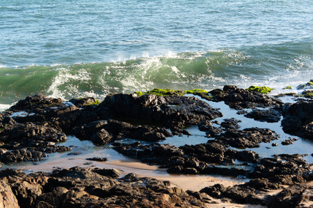 Rock covered in green slime and small pools of water during low tide.