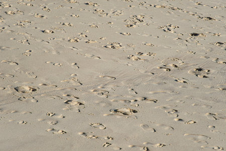 Detail of beach sand texture covered with various human footprints.