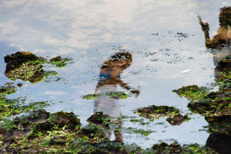Salvador, Bahia, Brazil - February 2, 2026: Artistic perspective showing the reflection of people and rocks with algae in the water during the Iemanja festival in Salvador, Bahia.のeditorial素材