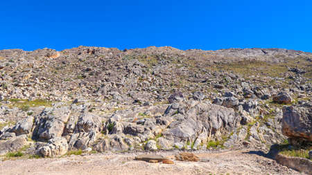 View Up Mountain with Rocks and Stonesの写真素材