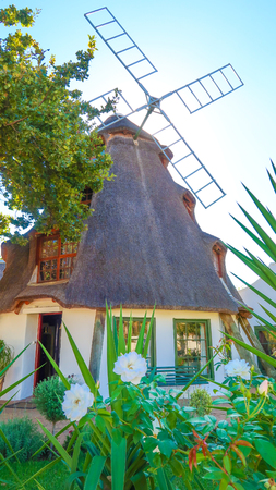 Old Mill Farm House with Thatched Roof and White Rosesの写真素材