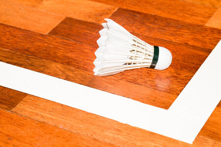 Shuttlecockの写真素材