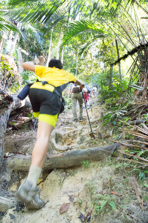 Teenager hiking up a tropical forestの写真素材