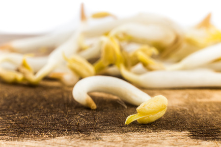 Close up of bean sprout on wooden chopping boardの写真素材