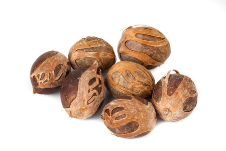 Close up and selective focus on the dried Nut Meg at foregroundの写真素材