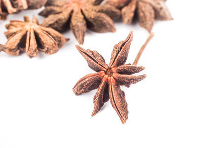 Close up and selective focus on one piece of Star Aniseの写真素材