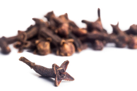 Close up and selective focus on one piece of dried cloves.の写真素材
