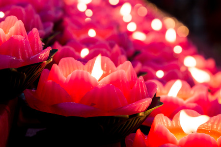 Lotus candle light illuminate a dark surroundingの写真素材