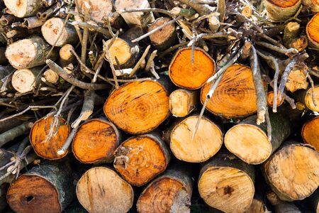 Stack pile of chopped logs and woods abstract background