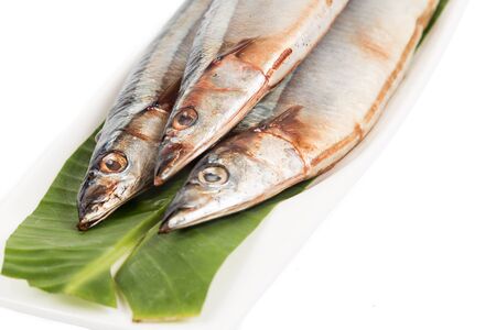 Fresh Japanese Sanma fish on leaf